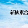 新核素合成（关于新核素合成简介）