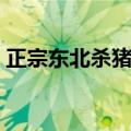 正宗东北杀猪菜的做法（怎么做东北杀猪菜）