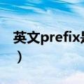 英文prefix是什么意思（英文(prefix)的意思）