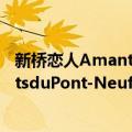 新桥恋人AmantsduPont-Neuf,Les（关于新桥恋人AmantsduPont-Neuf,Les简介）