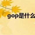 gop是什么意思（gop具体是什么意思）