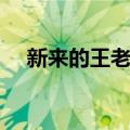 新来的王老师（关于新来的王老师简介）