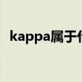 kappa属于什么档次（kappa是二线品牌）