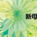 新母语（关于新母语简介）