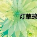 灯草鹀属（关于灯草鹀属介绍）