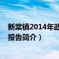 新棠镇2014年政府工作报告（关于新棠镇2014年政府工作报告简介）