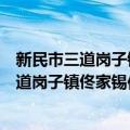 新民市三道岗子镇佟家锡伯族村志愿服务队（关于新民市三道岗子镇佟家锡伯族村志愿服务队简介）