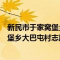 新民市于家窝堡乡大巴屯村志愿服务队（关于新民市于家窝堡乡大巴屯村志愿服务队简介）