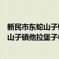 新民市东蛇山子镇他拉堡子村志愿服务队（关于新民市东蛇山子镇他拉堡子村志愿服务队简介）