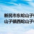 新民市东蛇山子镇西蛇山子村志愿服务队（关于新民市东蛇山子镇西蛇山子村志愿服务队简介）