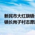 新民市大红旗镇长岗子村志愿服务团队（关于新民市大红旗镇长岗子村志愿服务团队简介）