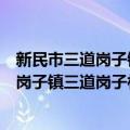 新民市三道岗子镇三道岗子村志愿服务队（关于新民市三道岗子镇三道岗子村志愿服务队简介）