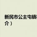 新民市公主屯镇初级中学（关于新民市公主屯镇初级中学简介）