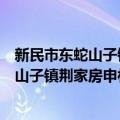 新民市东蛇山子镇荆家房申村志愿服务队（关于新民市东蛇山子镇荆家房申村志愿服务队简介）