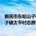 新民市东蛇山子镇太平村志愿者服务队（关于新民市东蛇山子镇太平村志愿者服务队简介）