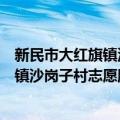 新民市大红旗镇沙岗子村志愿服务团队（关于新民市大红旗镇沙岗子村志愿服务团队简介）