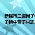 新民市三道岗子镇牛营子村志愿服务队（关于新民市三道岗子镇牛营子村志愿服务队简介）