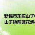 新民市东蛇山子镇前莲花泡村志愿服务队（关于新民市东蛇山子镇前莲花泡村志愿服务队简介）