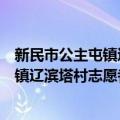 新民市公主屯镇辽滨塔村志愿者服务队（关于新民市公主屯镇辽滨塔村志愿者服务队简介）