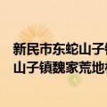 新民市东蛇山子镇魏家荒地村志愿服务队（关于新民市东蛇山子镇魏家荒地村志愿服务队简介）