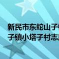 新民市东蛇山子镇小塔子村志愿服务队（关于新民市东蛇山子镇小塔子村志愿服务队简介）