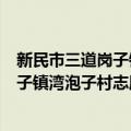 新民市三道岗子镇湾泡子村志愿服务队（关于新民市三道岗子镇湾泡子村志愿服务队简介）