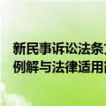 新民事诉讼法条文例解与法律适用（关于新民事诉讼法条文例解与法律适用简介）