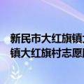 新民市大红旗镇大红旗村志愿服务团队（关于新民市大红旗镇大红旗村志愿服务团队简介）