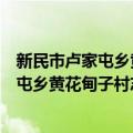 新民市卢家屯乡黄花甸子村志愿者服务队（关于新民市卢家屯乡黄花甸子村志愿者服务队简介）