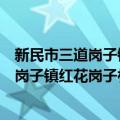 新民市三道岗子镇红花岗子村志愿服务队（关于新民市三道岗子镇红花岗子村志愿服务队简介）