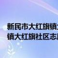 新民市大红旗镇大红旗社区志愿服务队（关于新民市大红旗镇大红旗社区志愿服务队简介）