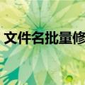 文件名批量修改方法（文件名批量修改步骤）