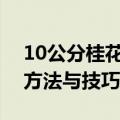 10公分桂花树种植间距（正确种植桂花树的方法与技巧）