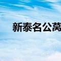 新泰名公莴苣（关于新泰名公莴苣简介）