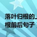 落叶归根的上一句或者下一句是什么（落叶归根前后句子）