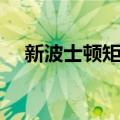 新波士顿矩阵（关于新波士顿矩阵简介）