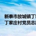 新泰市放城镇丁家庄村党员志愿服务队（关于新泰市放城镇丁家庄村党员志愿服务队简介）