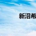 新沼希空（关于新沼希空简介）