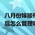 八月份嫁接樱桃树用什么方法好（嫁接樱桃树后怎么管理呢）