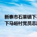 新泰市石莱镇下马峪村党员志愿服务队（关于新泰市石莱镇下马峪村党员志愿服务队简介）