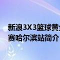 新浪3X3篮球黄金联赛哈尔滨站（关于新浪3X3篮球黄金联赛哈尔滨站简介）