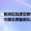 新洲区阳逻街新城巾帼志愿服务队（关于新洲区阳逻街新城巾帼志愿服务队简介）