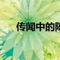 传闻中的陈芊芊多少集（一共是24集）