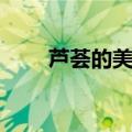 芦荟的美容功效（芦荟有什么作用）