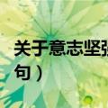 关于意志坚强的名言（有关意志坚强的名言警句）