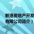 新港房地产开发 武汉有限公司（关于新港房地产开发 武汉有限公司简介）