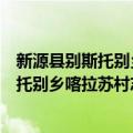 新源县别斯托别乡喀拉苏村志愿者服务队（关于新源县别斯托别乡喀拉苏村志愿者服务队简介）