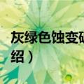 灰绿色蚀变破碎带（关于灰绿色蚀变破碎带介绍）