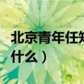 北京青年任知了介绍（北京青年任知了介绍有什么）