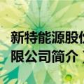 新特能源股份有限公司（关于新特能源股份有限公司简介）